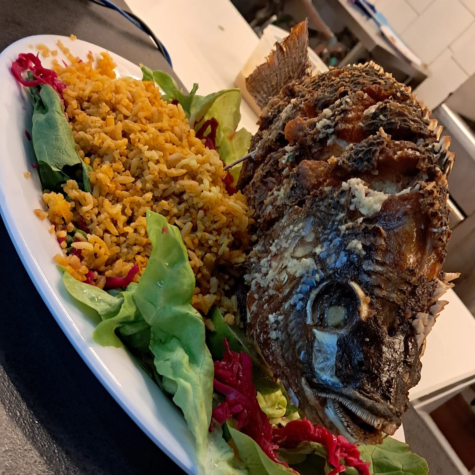 MegaCocteles Costa Verde MegaCocteles Costa Verde